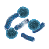 Prebiotics and Postbiotics