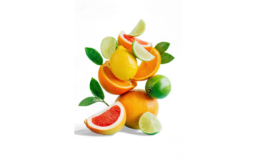 Citrus Bioflavonoids Extract