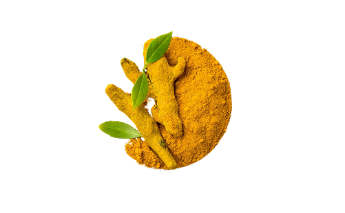 Curcuma Longa Rhizome Extract