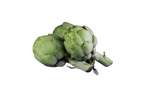 Cynara Scolymus Leaf Extract