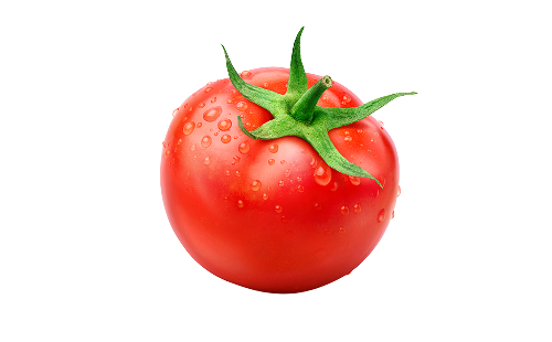 Lycopersicon Esculentum Fruit Extract