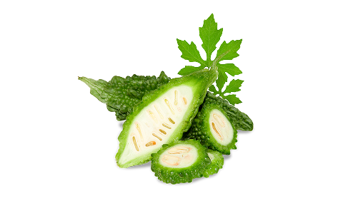 Momordica Charantia Fruit Extract