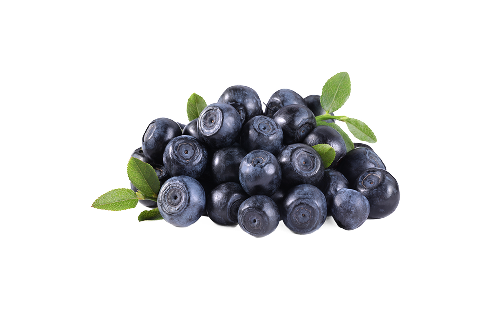 Vaccinium Myrtillus Fruit Extract